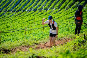 BIB: 
                            <button type="button" onclick="openModal(19161670)" class="btn btn-primary btn-sm float-right btn-popup" data-toggle="modal" data-target=".modal-high-quality">
                        <i class="fas fa-shopping-cart"></i> Add to Cart
                    </button>
                                            <button type="button" onclick="isThisMe(19161670, true)" class="btn btn-success btn-sm float-right btn-popup btn-isme hidden" data-toggle="tooltip" data-placement="bottom" title="นี่คือรูปของคุณใช่ไหม คลิกที่นี่เพื่อเอาเข้าอัลบั้ม">
                        <i class="fas fa-plus"></i> Add to album
                    </button>
                    <button type="button" onclick="isThisMe(19161670, false)" class="btn btn-warning btn-sm float-right btn-popup btn-isnotme hidden">
                        <i class="fas fa-ban"></i> Remove from album
                    </button>